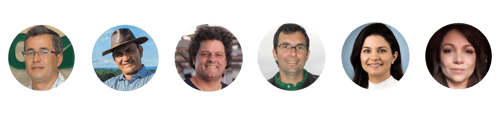 3 análise