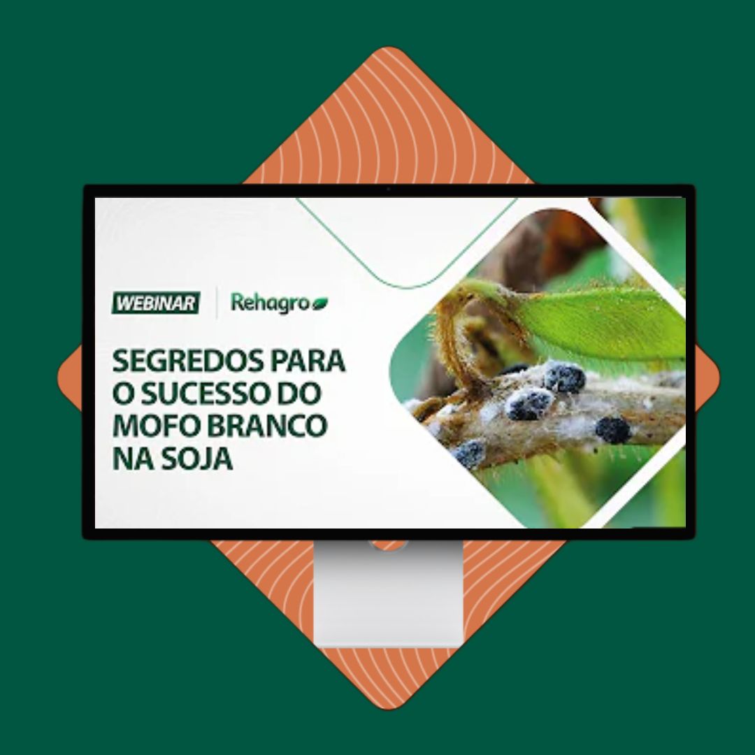 capa-webinar-10-fotor-20230927111759 capa-webinar-10-fotor-20230927111759
