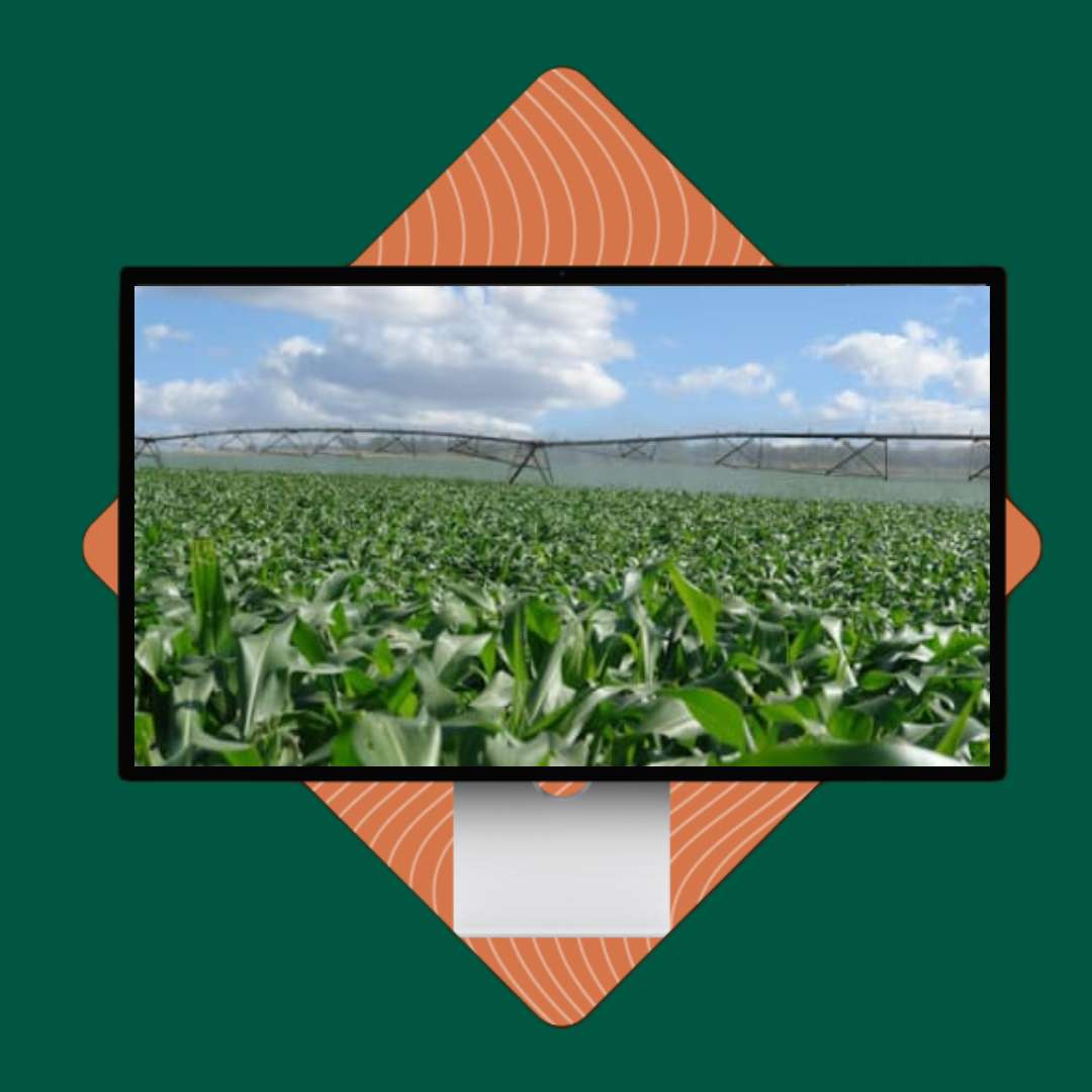 capa-webinar-10-fotor-20231215102239 capa-webinar-10-fotor-20231215102239