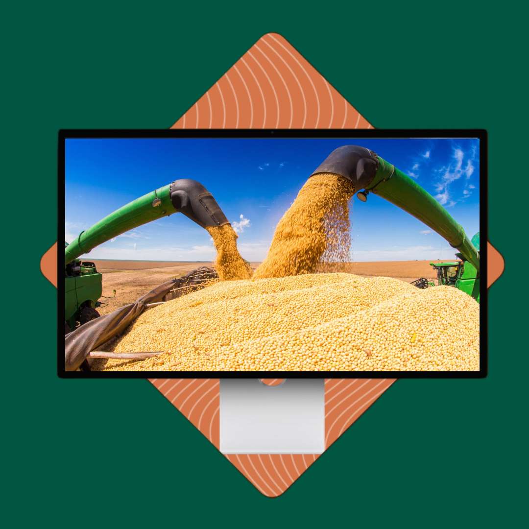 capa-webinar-10-fotor-20231215105217