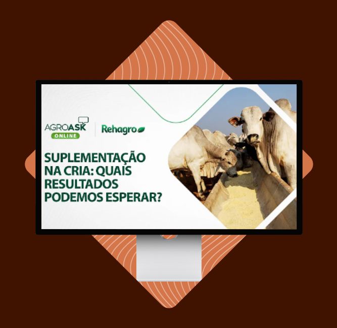 capa-webinar-5-fotor-20230927133911 capa-webinar-5-fotor-20230927133911
