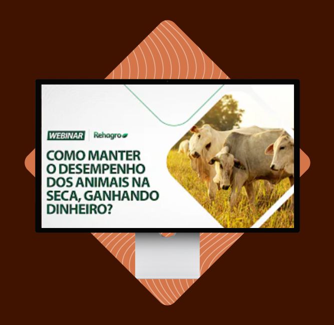capa-webinar-desempenho-seca capa-webinar-desempenho-seca