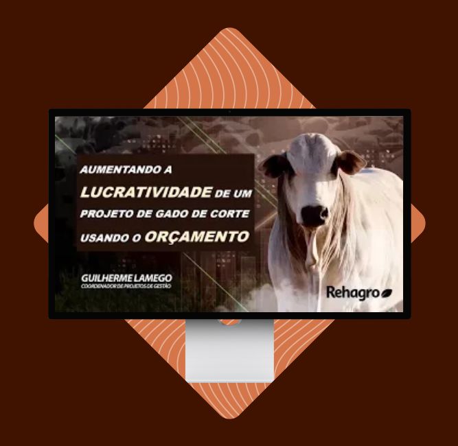 webinar-aumentando-lucratividade