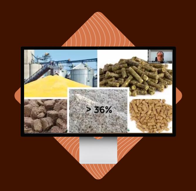webinar-coprodutos webinar-coprodutos