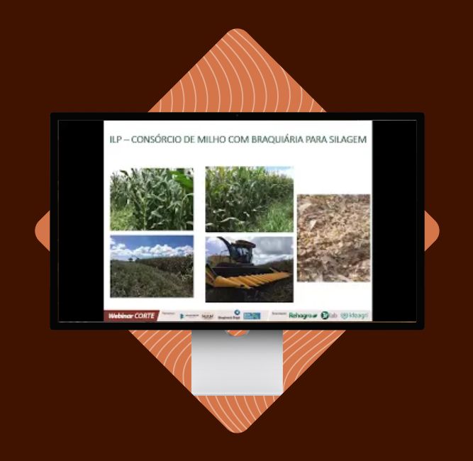 webinar-ilp webinar-ilp