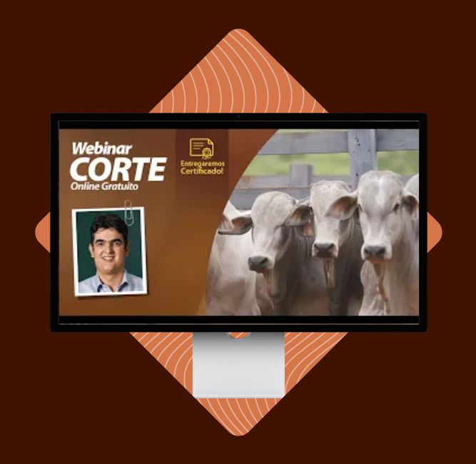 webinar-qualidade-carne webinar-qualidade-carne