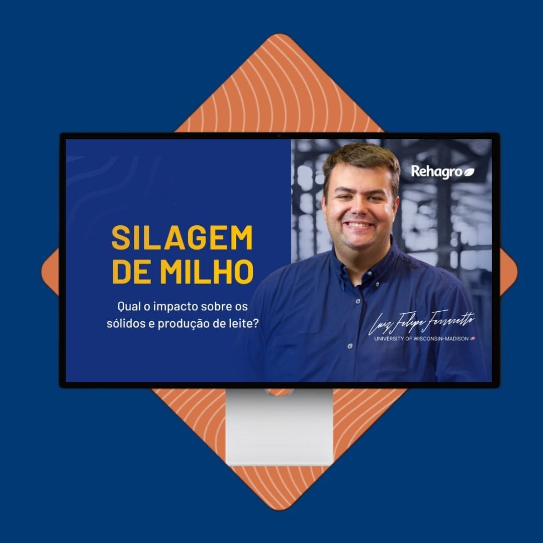 webinar-silagem-milho